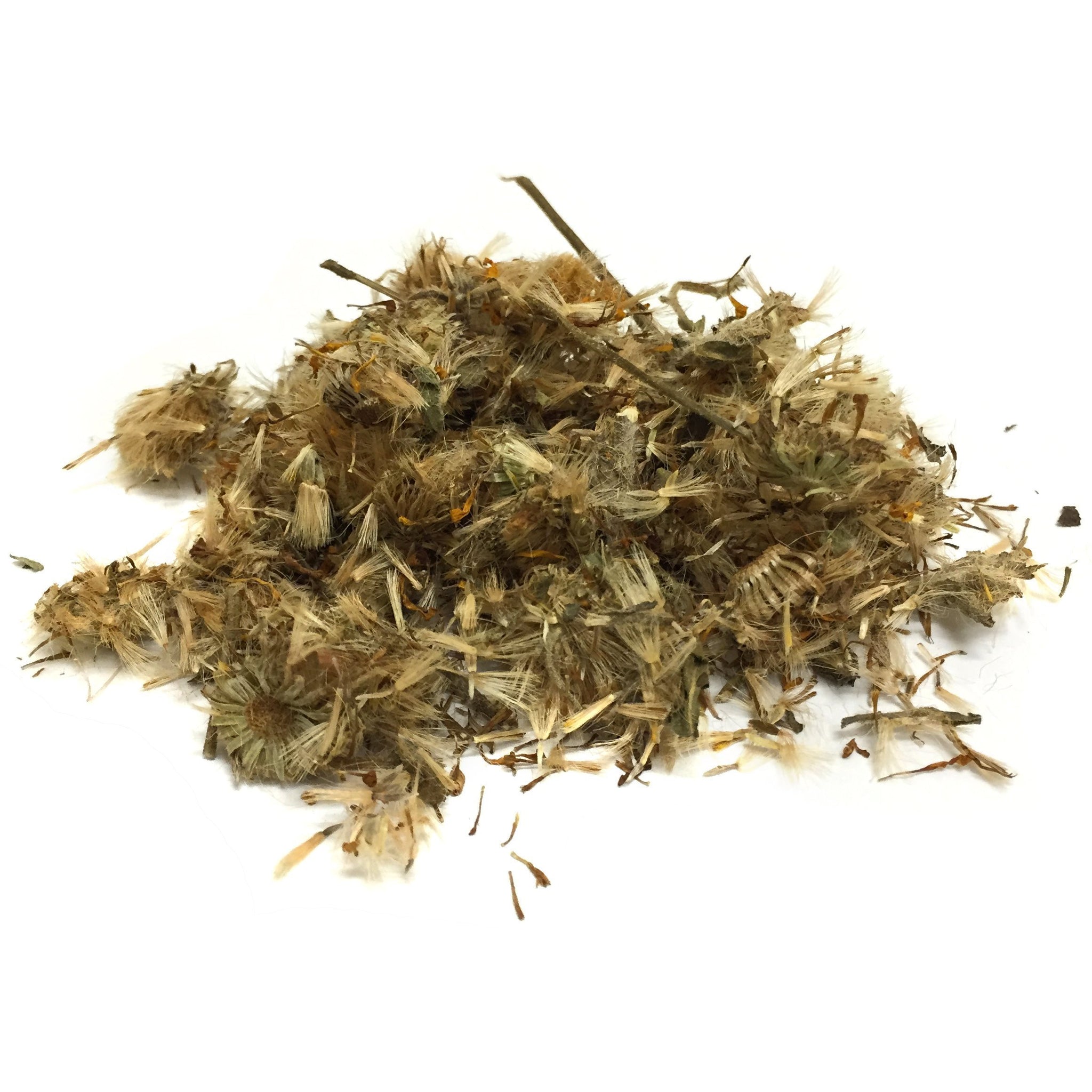 arnica flower seeds Arnica Flower Whole